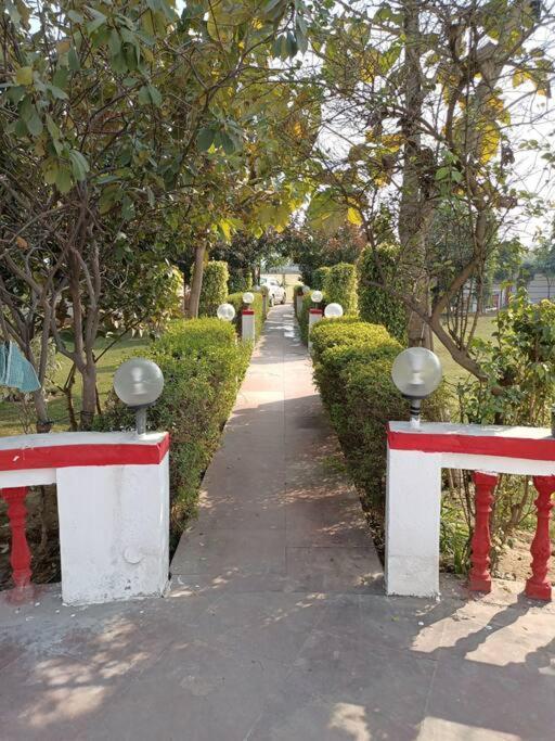 グルガウン Achal Farm जंगल में मंगलヴィラ エクステリア 写真