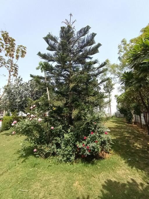 グルガウン Achal Farm जंगल में मंगलヴィラ エクステリア 写真