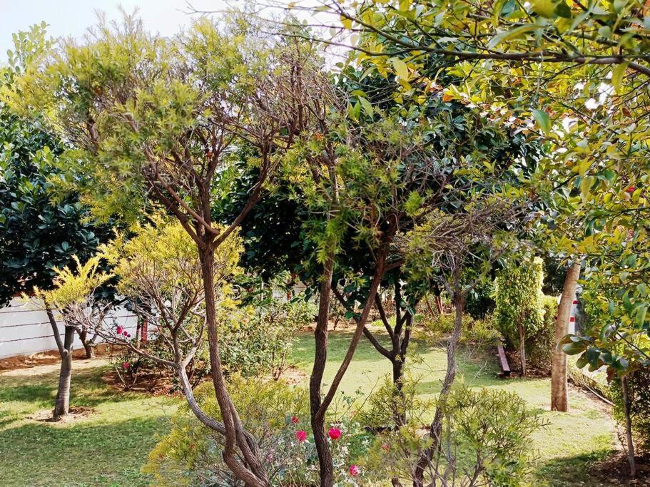 グルガウン Achal Farm जंगल में मंगलヴィラ エクステリア 写真